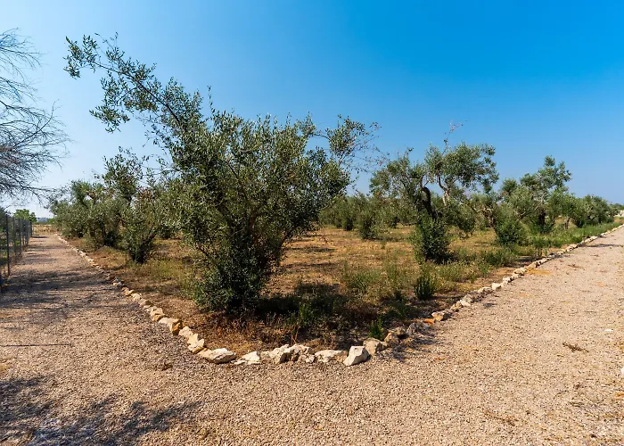 Dependance Di Dea By Barbarhouse 马蒂诺